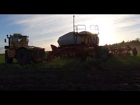 Видео: Трактор Кировец. Посев подсолнечника посевным комплексом Алькор-10.
