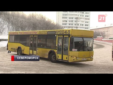Видео: Северяне жалуются на «транспортный кошмар» между Мурманском и Североморском
