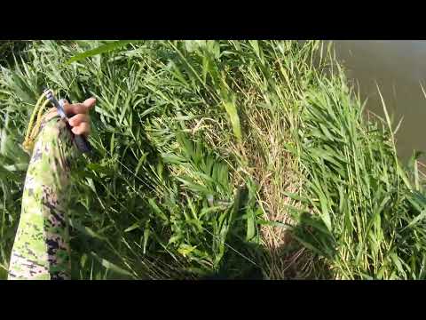 Видео: Настрелял пелингасов, провалился в воду и упустил рыбу