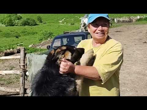 Видео: КБР, дорога Бедык - гора Лха, мы проехали! 21.06.2022 часть 1