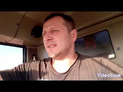 Видео: Уборка подсолнечника 2024 засуха и морозы что в итоге осталось фермеру#сельскоехозяйство #засуха