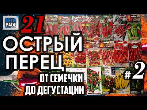 Видео: 21 острый перец / от семечки до дегустации #2