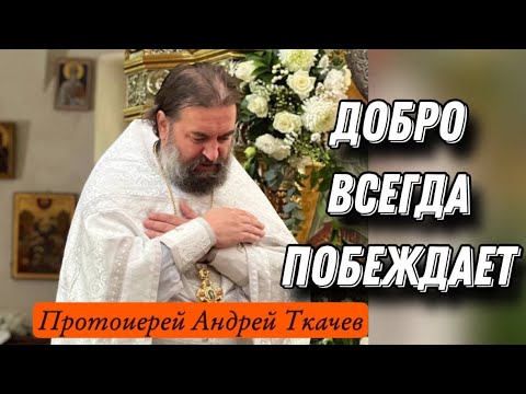 Видео: Для совести всё сегодня.. Отец Андрей Ткачёв