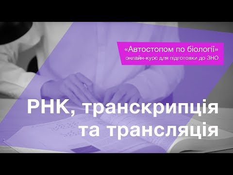 Видео: РНК, транскрипція та трансляція – Підготовка до ЗНО – Біологія