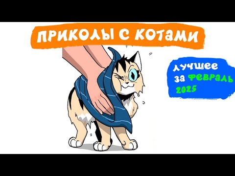 Видео: Приколы с котами. ЛУЧШЕЕ ЗА ФЕВРАЛЬ 2025 | Мемозг