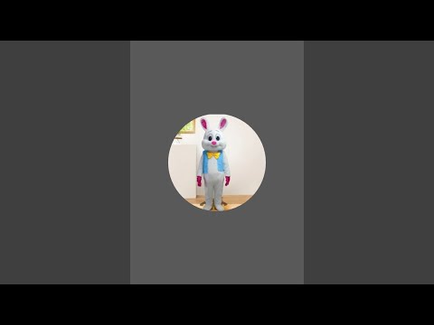 Видео: Boni rabbit в прямом эфире!