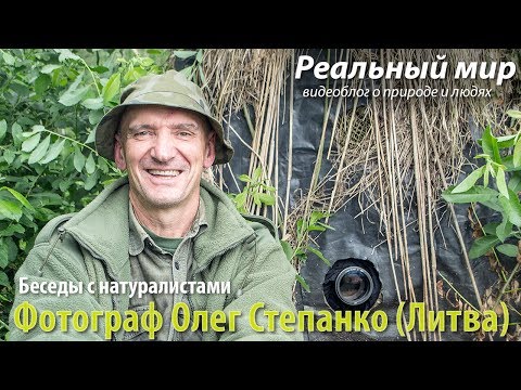 Видео: Лесная студия Олега Степанко. Секреты съёмки журавлей и крупных хищных птиц.