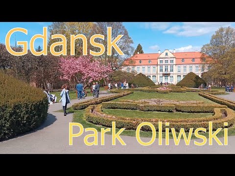 Видео: Оливский парк в Гданьске. Цветущие сакуры и магнолии. Отличное место для прогулок.