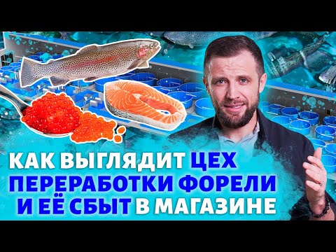 Видео: Полный ОБЗОР ФОРЕЛЕВОГО БИЗНЕСА изнутри. От ЦЕХА ДО ПРИЛАВКА В МАГАЗИНЕ