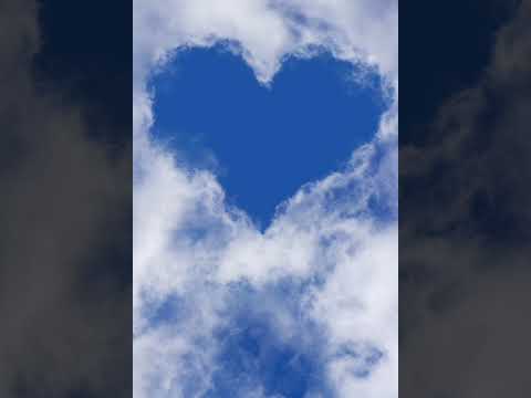 Видео: 9 ноября 2025 г.