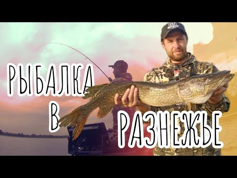 Видео: Рыбалка в заводях на блёсна .Рыбалка в РАЗНЕЖЬЕ.