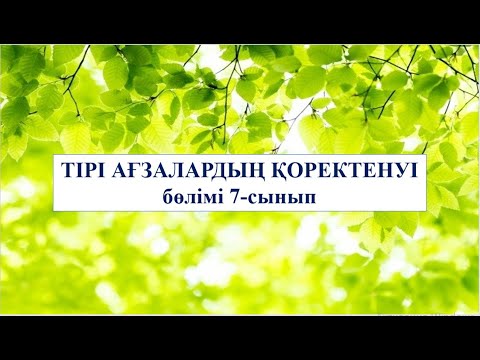 Видео: 7 сынып Фотосинтезге қажетті жағдайлар
