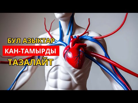 Видео: Жүрөктү, кан-тамырларды тазалаган азыктар