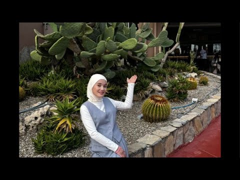 Видео: 300 баллдан директорго секирген азыркы учурда старший директор Кыйгырова Умут м-н интервью