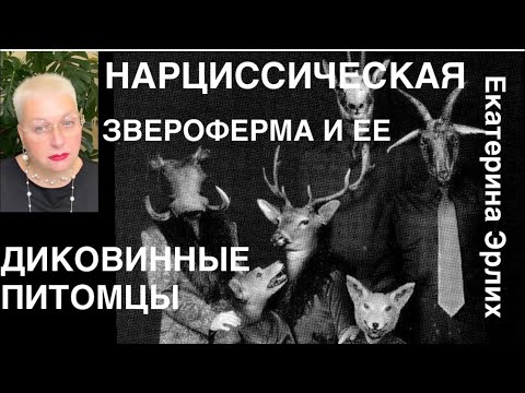 Видео: НАРЦИССИЧЕСКАЯ ЗВЕРОФЕРМА И ЕЕ ДИКОВИННЫЕ ПИТОМЦЫ. Психолог Екатерина Эрлих.