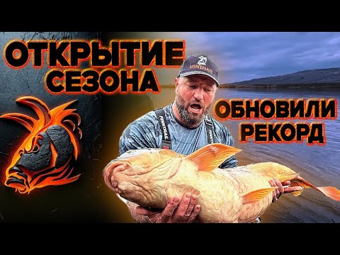 Видео: Карп-монстр 25+! Техника ловли большой рыбы на «Разливе»