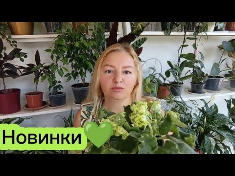 Видео: РОЗМОВНЕ ВІДЕО 💚 НОВИНКИ 💚🌿