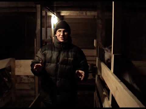 Видео: 27.Обзор сарая для коз 1. Как всё устроено?