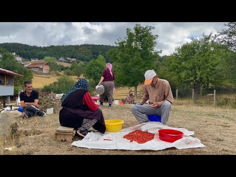 Видео: Жизнь большой семьи в деревне. Деревенская жизнь в Турции.
