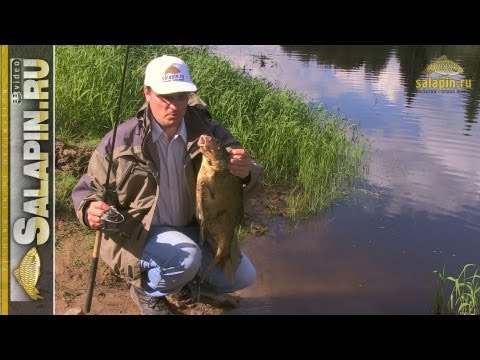 Видео: Ловля крупной рыбы без подсачека [salapinru]