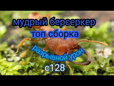 Видео: the ants underground kingdom мудрый берсеркер , топ спец муравей по урону, с кем поставить, связка