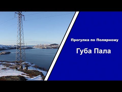 Видео: Прогулка по Полярному — выпуск 4