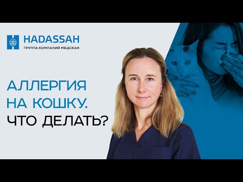 Видео: ПУШИСТАЯ УГРОЗА: как жить с аллергией на кошек?