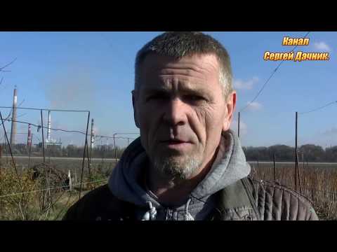 Видео: Лёгкое укрытие виноградных кустов