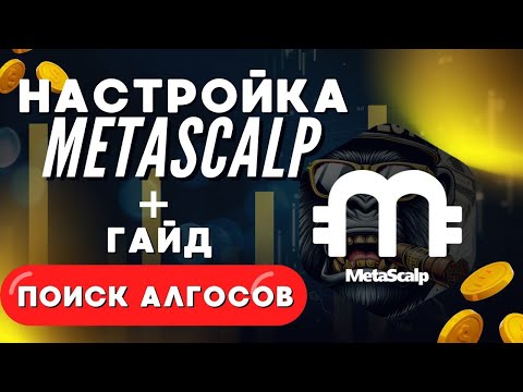 Видео: Как настроить MetaScalp под сбор спреда и поиск алгоритмов