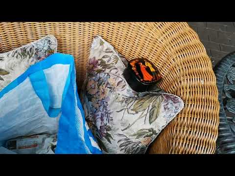 Видео: Редкие находки с блошиного рынка! Повезло необыкновенно!