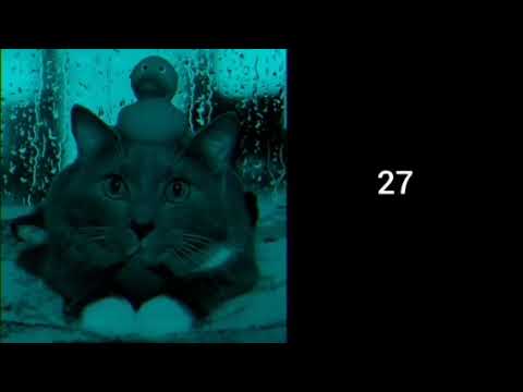 Видео: ты написал ЕГЭ на: