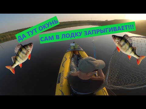 Видео: Куча окуня на поплавок! Рыбалка в Канаде Goudney reservoir Pilot Mound MB perch and pike fishing.