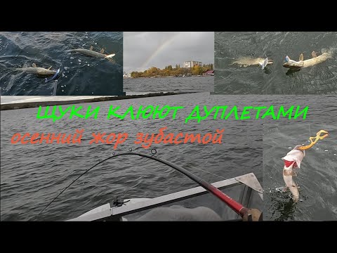 Видео: ЩУКИ КЛЮЮТ ДУПЛЕТАМИ!!!  ОСЕННИЙ ЖОР ЗУБАСТОЙ!!!