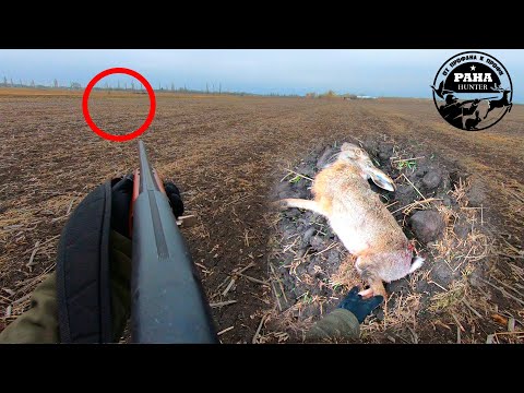 Видео: Охота на зайца. ТАК Я ЕЩЕ НЕ ДЕЛАЛ. Охота по чернотропу. Сезон 2021-2022. Девятый выход.