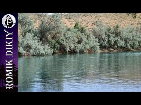 Видео: Рыбалка на Тусмурунском канале  Июнь 2014  День 1 й