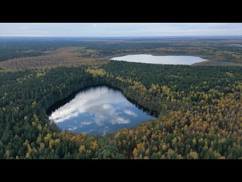 Видео: Путешествие по осенней Мещёре. Река Пра в Октябре, сплав Спас Клепики - Брыкин Бор.