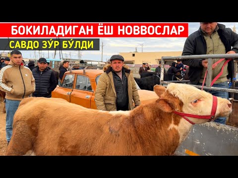 Видео: БОКИЛАДИГАН ЁШ НОВВОСЛАР ХОРАЗМ БОГОТ МОЛ БОЗОРИ !!! ХОРАЗМ БОЗОР