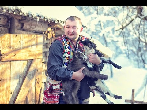 Видео: Закарпаття .Коломийка співана.гурт Голоси Боржави (Верхній Мараморош)