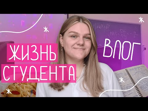 Видео: день из жизни студента-экономиста