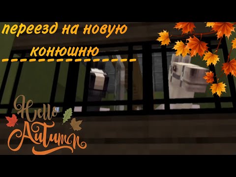 Видео: переезд на новую конюшню !💚