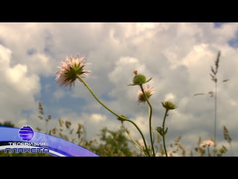 Видео: TRADITSII & NOVATORSTVO - ENYOVDEN / Традиции и новаторство - Еньовден, 2019