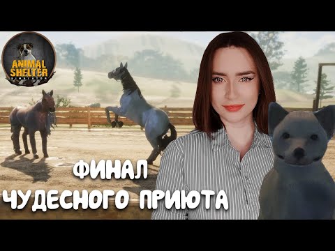 Видео: Animal Shelter ► ФИНАЛЬНЫЙ ФИНАЛ ПРИЮТОВ