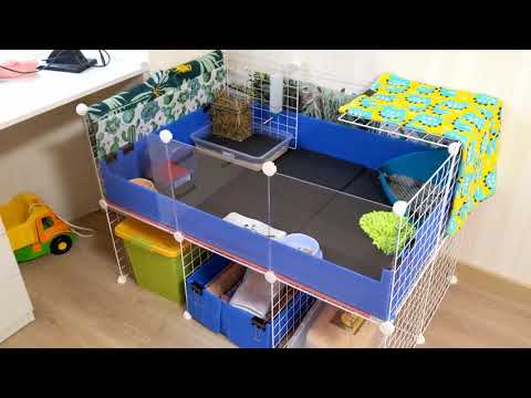 Видео: Как мы делали стеклянный вольер для морских свинок / How to create a glass C&C cage wall for piggies