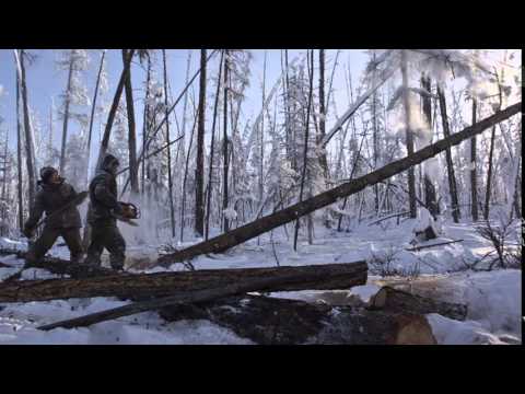 Видео: ПОСЕДЕВШАЯ ЛЮБОВЬ МОЯ