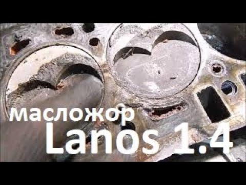 Видео: Большой расход масла ЗАЗ Lanos 1.4. Капремонт двигателя МеМЗ-317. Ч1 Дефектовка.