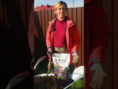 Видео: СМОРОДИНУ И КРЫЖОВНИК САЖАЕМ ПО-НОВОМУ! Ягоды будут крупнее и слаще! Мастер-класс по посадке