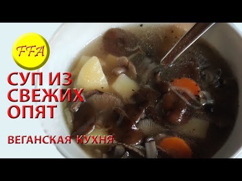 Видео: Суп с лесными осенними опятами. Вкусный и простой. Постное, веганское, вегетарианское