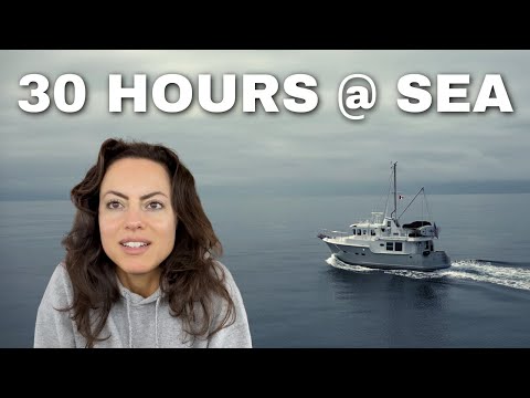 Видео: Хотите увидеть, как выглядят более 30 часов в море? ПОСМОТРИТЕ это видео, чтобы узнать! [MV FREEDOM]