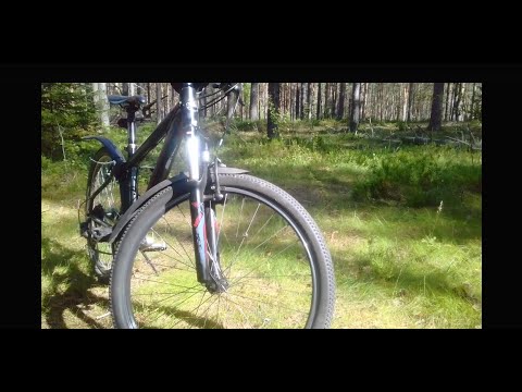 Видео: Лучше купить его, чем какой нибудь Stern! Обзор Silverback Stride 20 2014года.