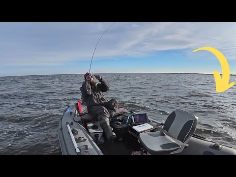 Видео: АПАРАТИ ТЯГНУТЬ В КОРЯГИ ,  Рибалка на джиг по КРУПНЯКУ